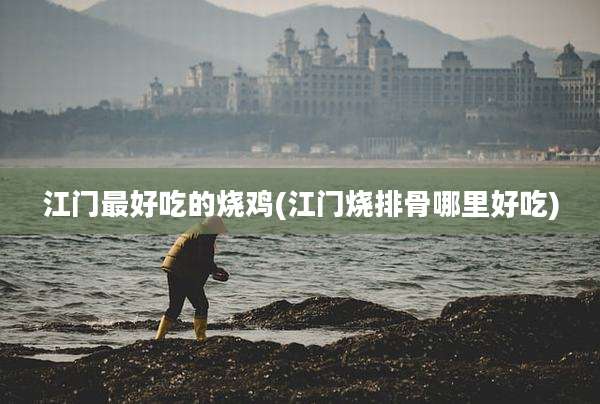 江门最好吃的烧鸡(江门烧排骨哪里好吃)