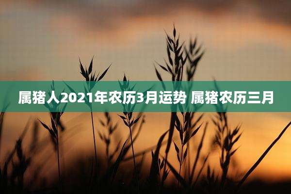 属猪人2021年农历3月运势 属猪农历三月