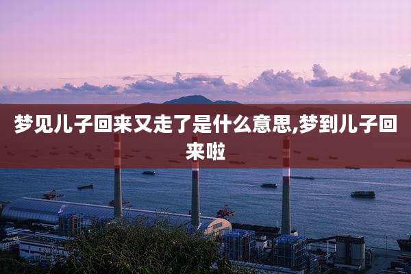 梦见儿子回来又走了是什么意思,梦到儿子回来啦