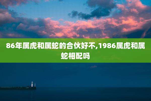 86年属虎和属蛇的合伙好不,1986属虎和属蛇相配吗