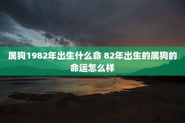 属狗1982年出生什么命 82年出生的属狗的命运怎么样