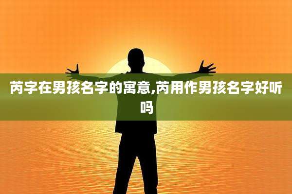 芮字在男孩名字的寓意,芮用作男孩名字好听吗