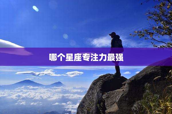 哪个星座专注力最强