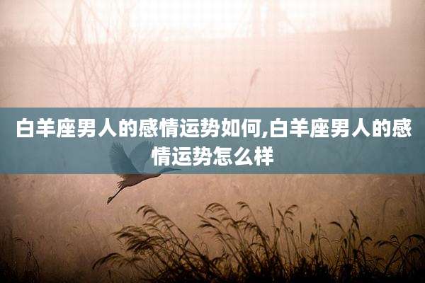 白羊座男人的感情运势如何,白羊座男人的感情运势怎么样