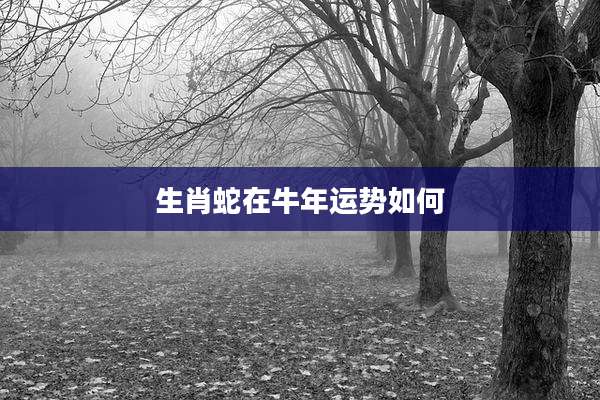 生肖蛇在牛年运势如何