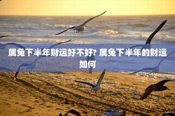 属兔下半年财运好不好? 属兔下半年的财运如何