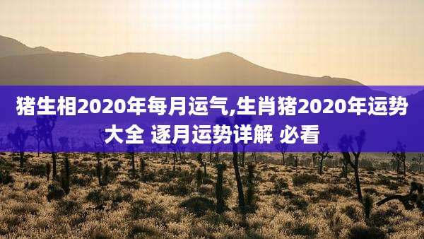 猪生相2020年每月运气,生肖猪2020年运势大全 逐月运势详解 必看
