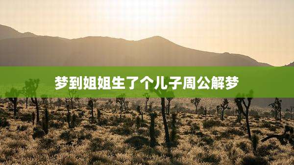 梦到姐姐生了个儿子周公解梦