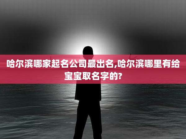 哈尔滨哪家起名公司最出名,哈尔滨哪里有给宝宝取名字的?