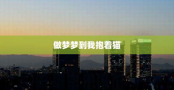 做梦梦到我抱着猫