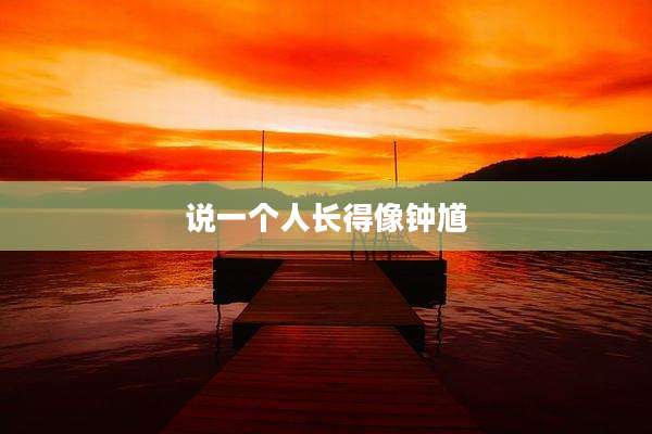 说一个人长得像钟馗