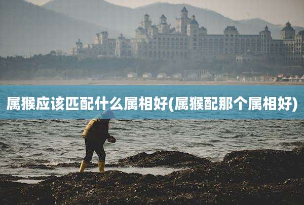属猴应该匹配什么属相好(属猴配那个属相好)
