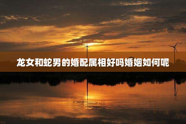 龙女和蛇男的婚配属相好吗婚姻如何呢