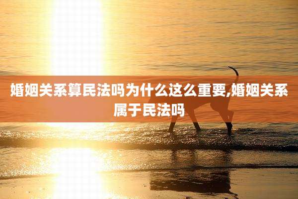 婚姻关系算民法吗为什么这么重要,婚姻关系属于民法吗