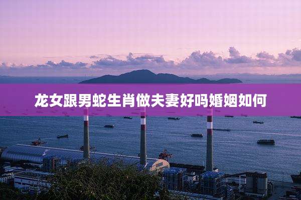 龙女跟男蛇生肖做夫妻好吗婚姻如何