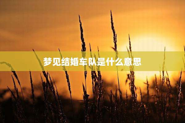 梦见结婚车队是什么意思