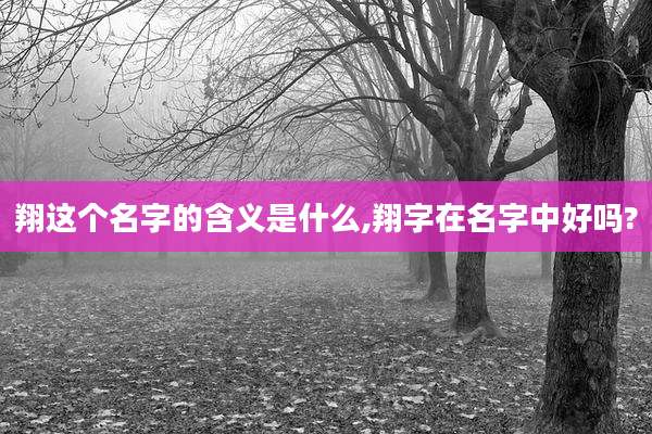 翔这个名字的含义是什么,翔字在名字中好吗?
