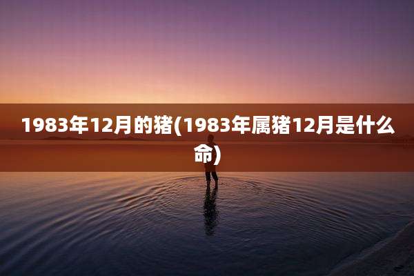 1983年12月的猪(1983年属猪12月是什么命)