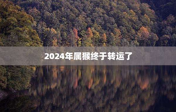 2024年属猴终于转运了