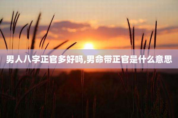男人八字正官多好吗,男命带正官是什么意思