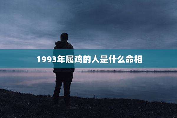1993年属鸡的人是什么命相