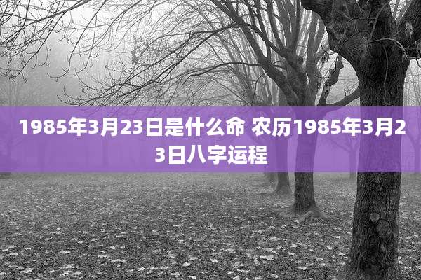 1985年3月23日是什么命 农历1985年3月23日八字运程