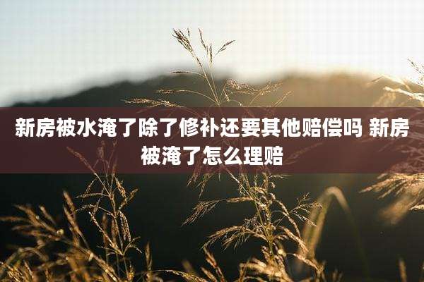 新房被水淹了除了修补还要其他赔偿吗 新房被淹了怎么理赔