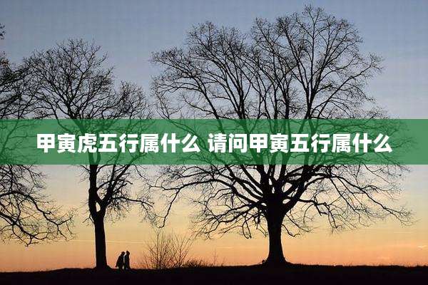 甲寅虎五行属什么 请问甲寅五行属什么