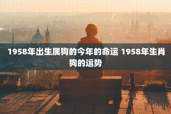 1958年出生属狗的今年的命运 1958年生肖狗的运势