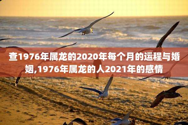 查1976年属龙的2020年每个月的运程与婚姻,1976年属龙的人2021年的感情