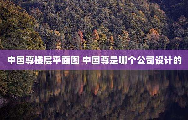 中国尊楼层平面图 中国尊是哪个公司设计的