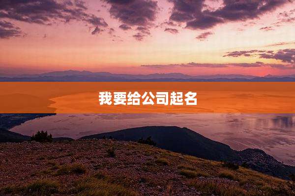我要给公司起名