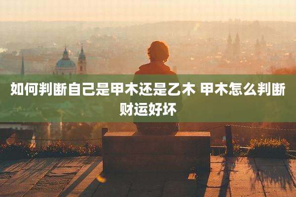 如何判断自己是甲木还是乙木 甲木怎么判断财运好坏