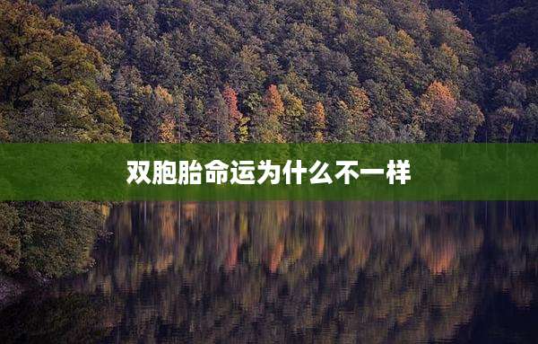 双胞胎命运为什么不一样