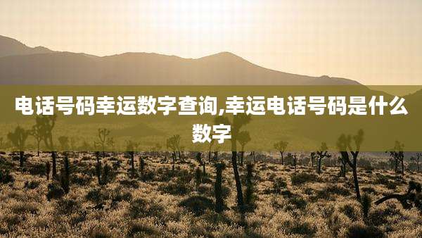 电话号码幸运数字查询,幸运电话号码是什么数字