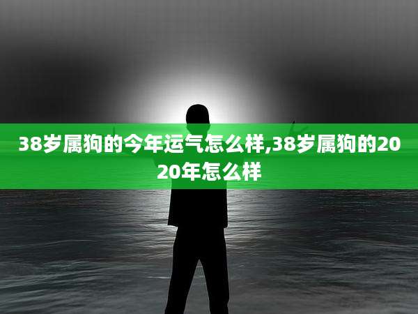 38岁属狗的今年运气怎么样,38岁属狗的2020年怎么样