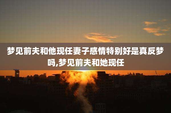 梦见前夫和他现任妻子感情特别好是真反梦吗,梦见前夫和她现任