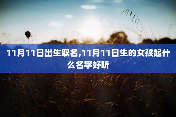 11月11日出生取名,11月11日生的女孩起什么名字好听