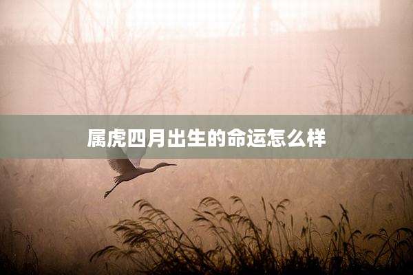 属虎四月出生的命运怎么样