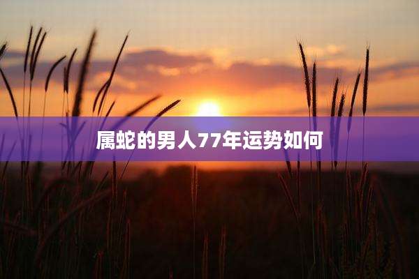 属蛇的男人77年运势如何