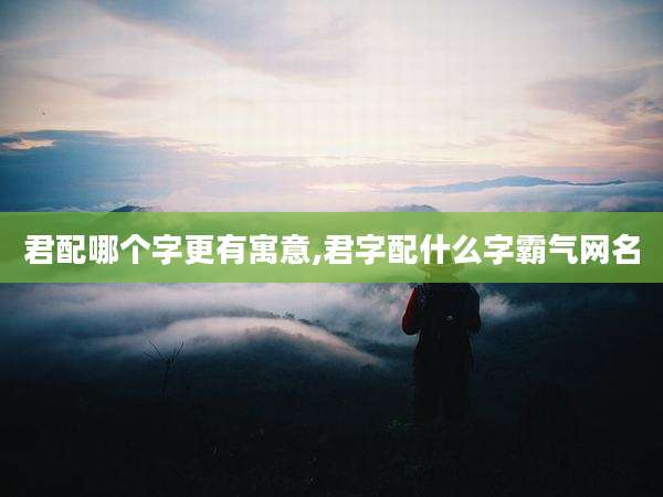 君配哪个字更有寓意,君字配什么字霸气网名