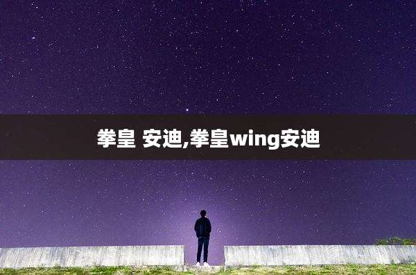 拳皇 安迪,拳皇wing安迪