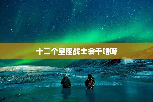 十二个星座战士会干啥呀