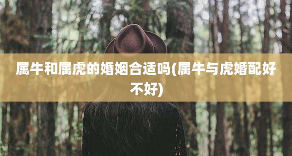 属牛和属虎的婚姻合适吗(属牛与虎婚配好不好)