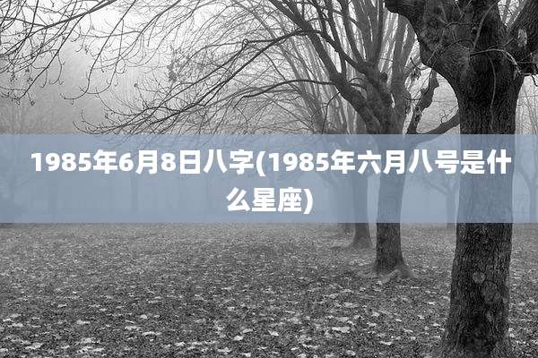 1985年6月8日八字(1985年六月八号是什么星座)