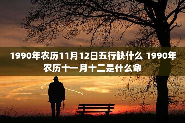1990年农历11月12日五行缺什么 1990年农历十一月十二是什么命