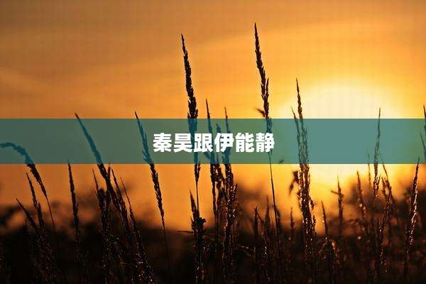 秦昊跟伊能静