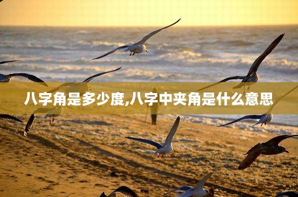 八字角是多少度,八字中夹角是什么意思