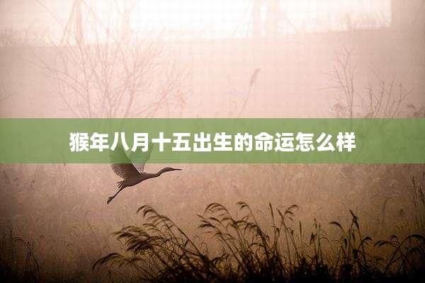 猴年八月十五出生的命运怎么样