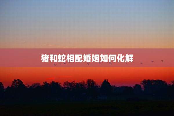 猪和蛇相配婚姻如何化解